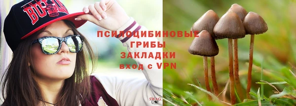кокс Алексин