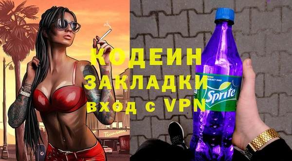 шишки Покачи