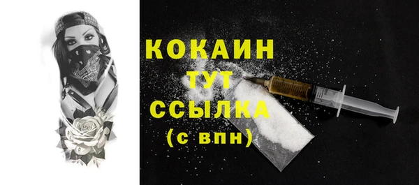 кокс Алексин