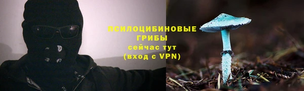 шишки Покачи