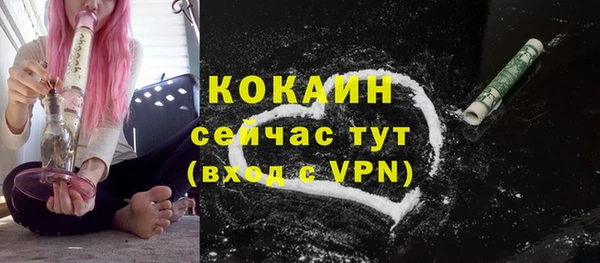 кокс Алексин