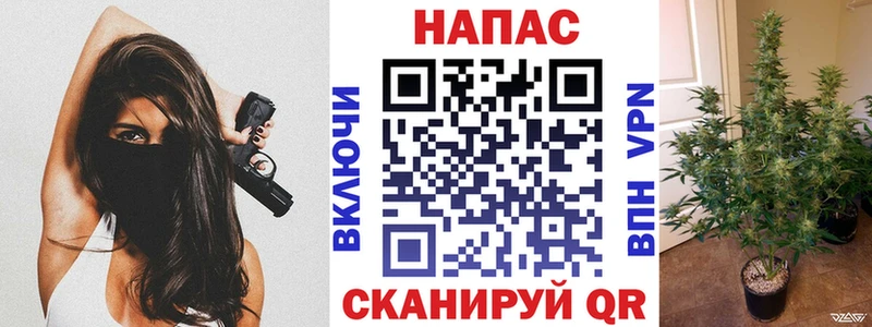 OMG ссылка  Новоузенск  Шишки марихуана White Widow  купить закладку 